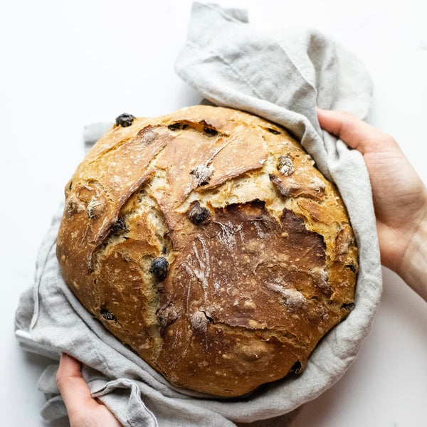 Sourdough Chocolate Chunk Artisan Bread (+16 years)