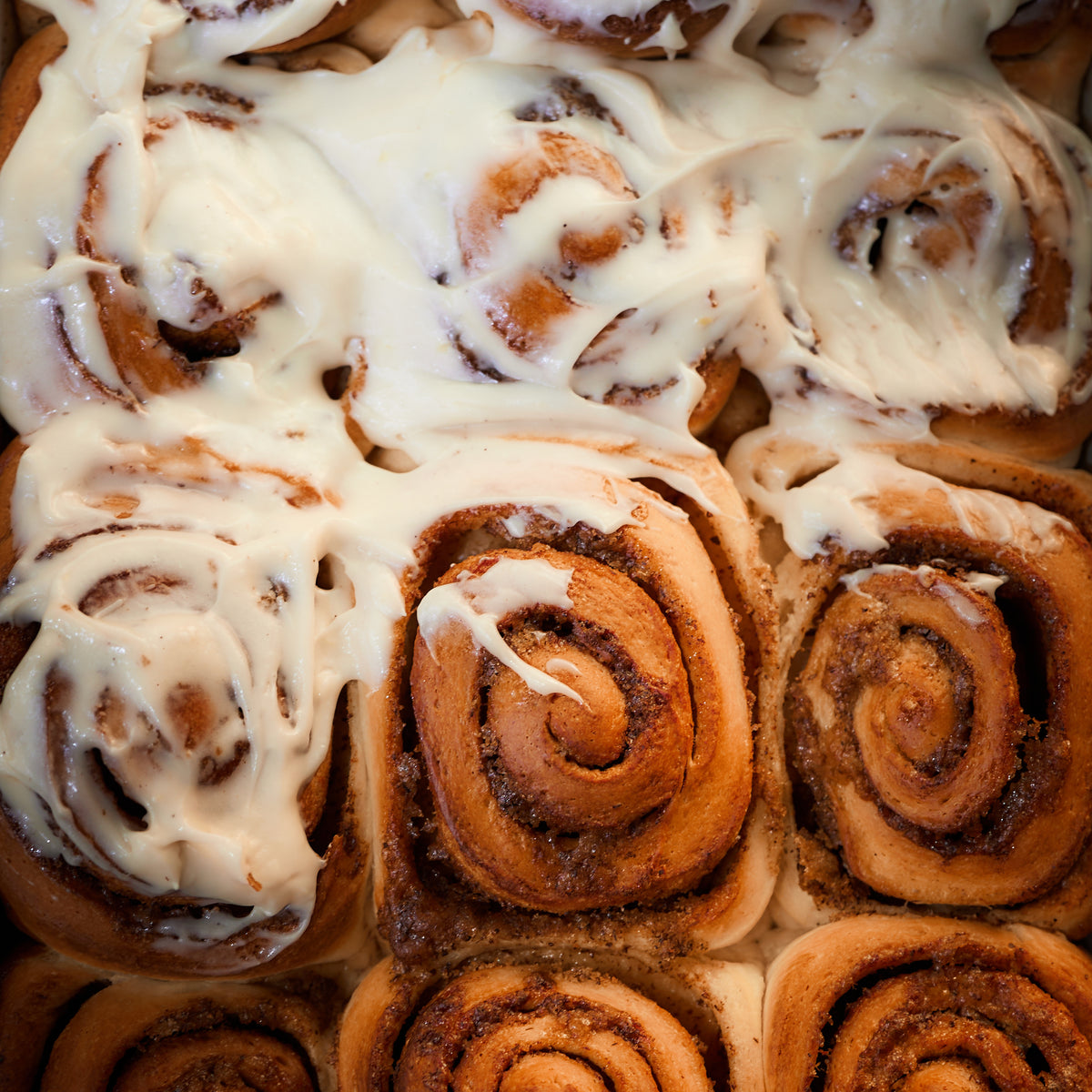 Sourdough Cinnamon Rolls  (+16 years)