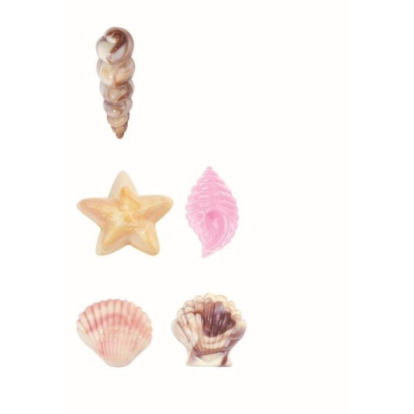 Seashells Candy Mould