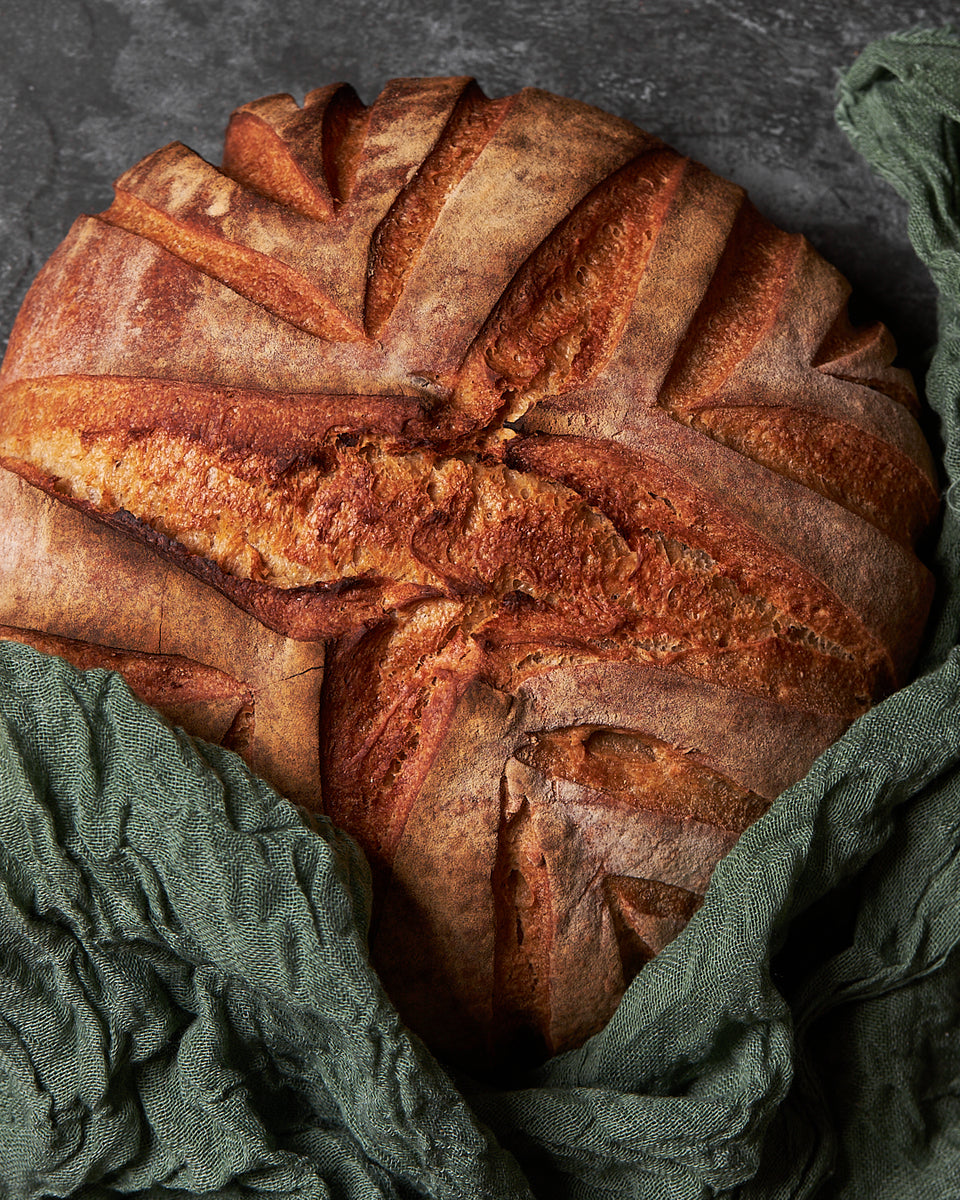 Sourdough Multi Grain Bread (+16 years)